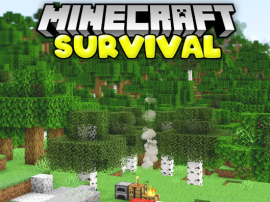 Minecraft Survival img
