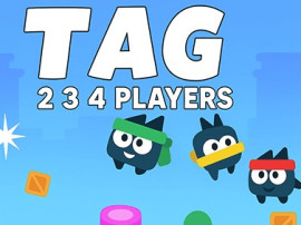 Tag Game img